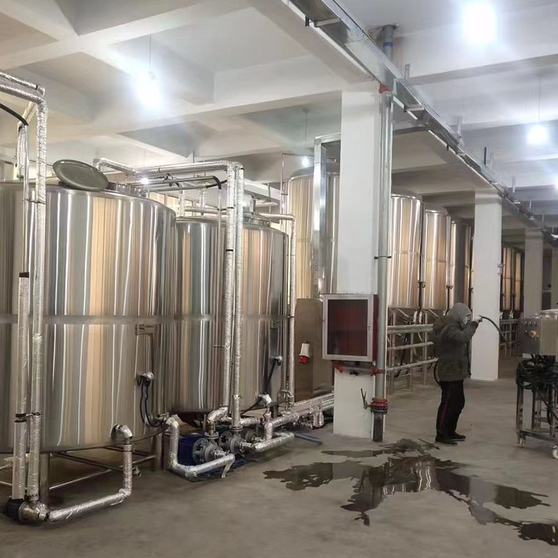 临湘精酿啤酒设备